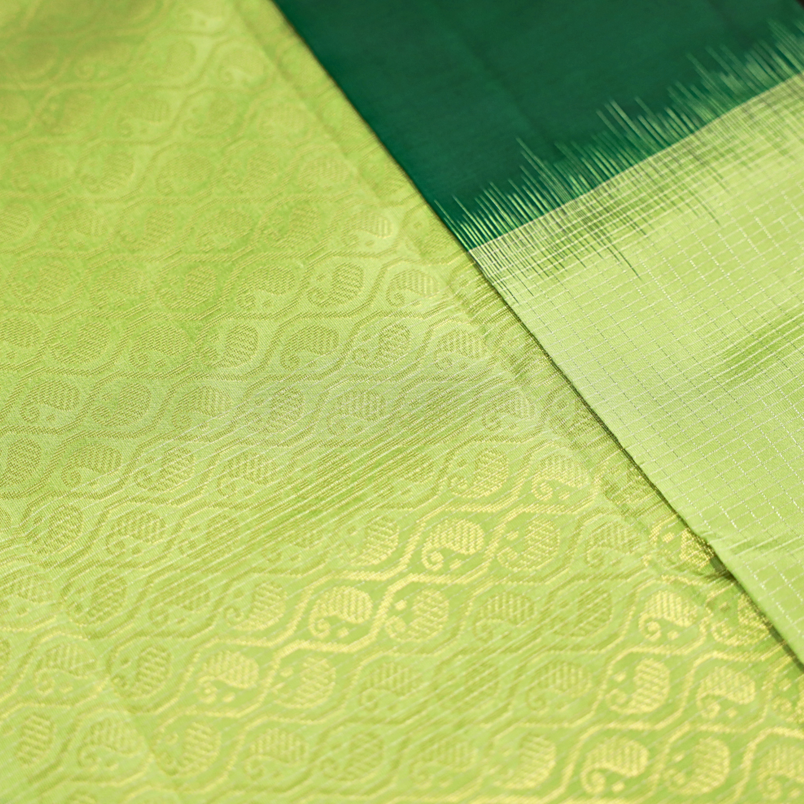 Kanchi Silk