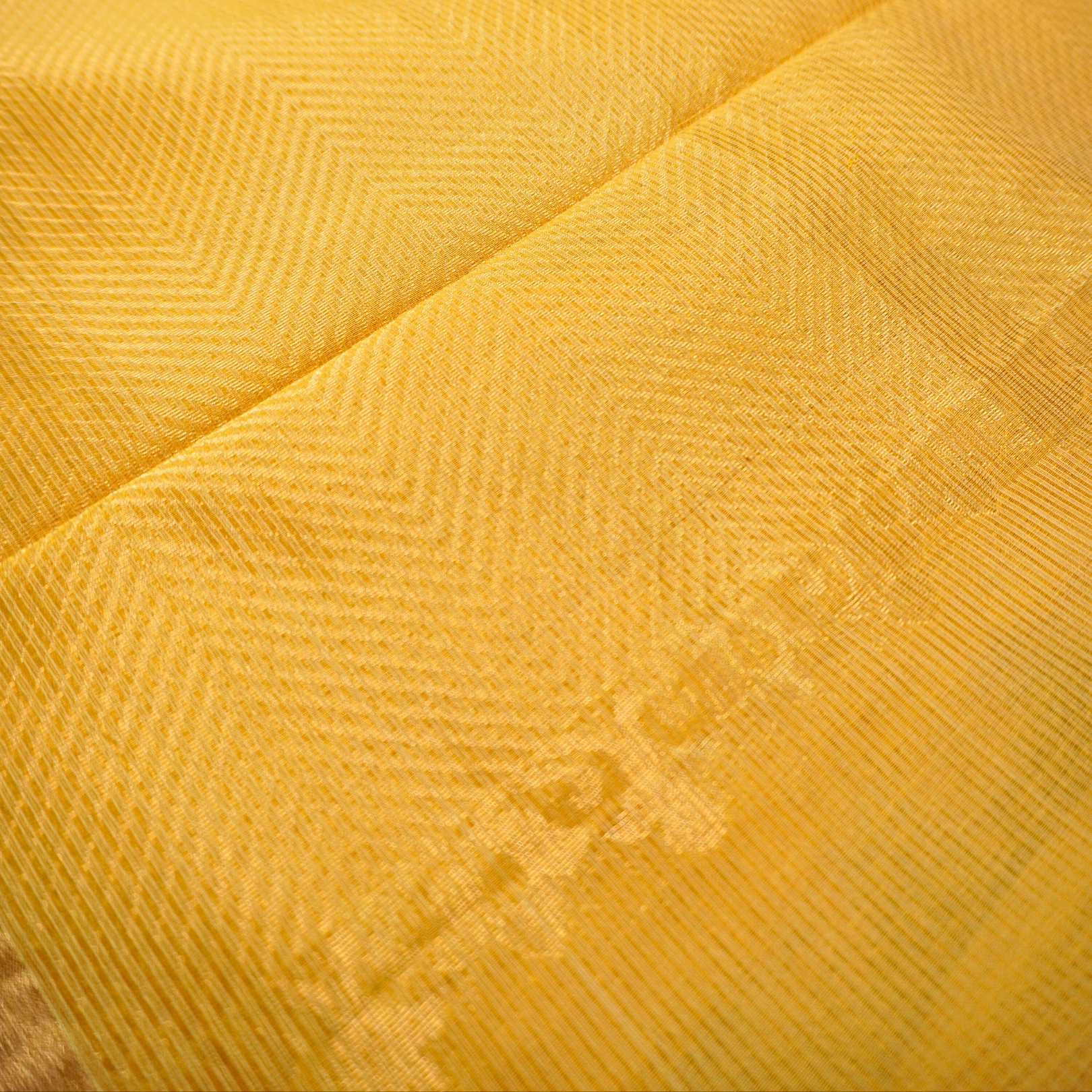 Silk Cotton Saree